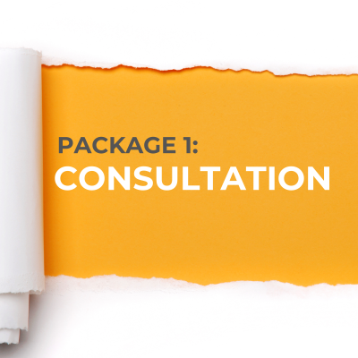 Package 1 : Consultation